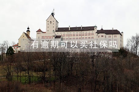 有逾期可以买社保吗 有逾期可以买社保吗