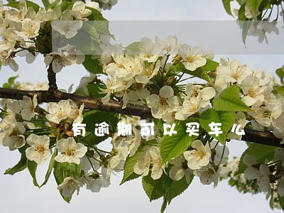 有逾期可以买车么 有逾期可以买车么
