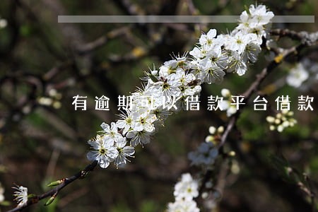 有逾期可以借款平台借款吗 有逾期可以借款平台借款吗
