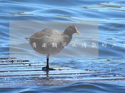 有逾期可以借款的大平台 有逾期可以借款的大平台