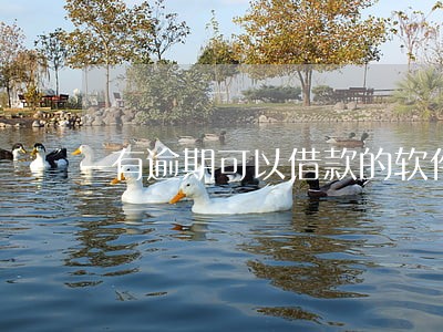 有逾期可以借款的软件 有逾期可以借款的软件