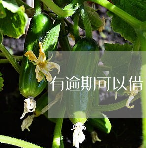 有逾期可以借百度有钱花吗 有逾期可以借百度有钱花吗
