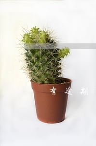 有逾期可以借钱的网贷 有逾期可以借钱的网贷
