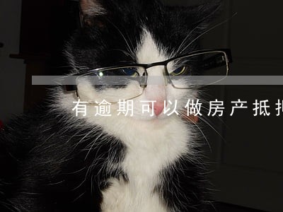 有逾期可以做房产抵押贷款 有逾期可以做房产抵押贷款