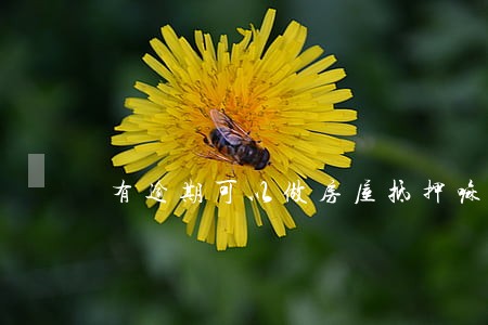 有逾期可以做房屋抵押嘛 有逾期可以做房屋抵押嘛