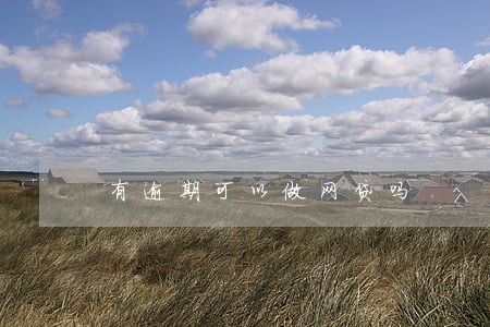 有逾期可以做网贷吗 有逾期可以做网贷吗
