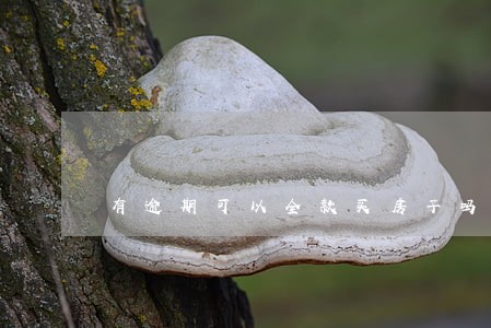 有逾期可以全款买房子吗 有逾期可以全款买房子吗