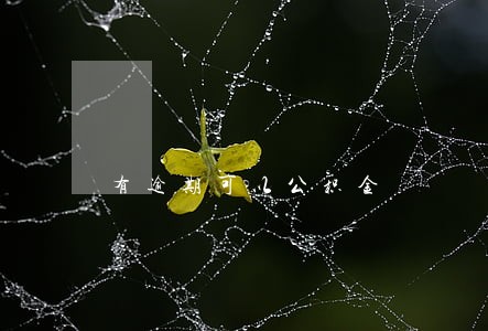 有逾期可以公积金 有逾期可以公积金