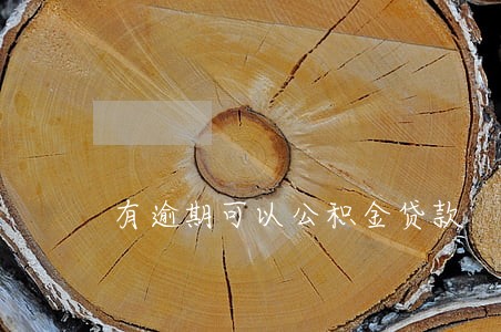 有逾期可以公积金贷款 有逾期可以公积金贷款