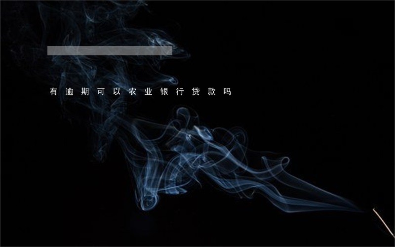 有逾期可以农业银行贷款吗 有逾期可以农业银行贷款吗
