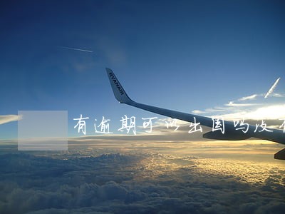 有逾期可以出国吗没有黑户 有逾期可以出国吗没有黑户