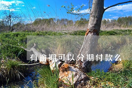 有逾期可以分期付款么 有逾期可以分期付款么