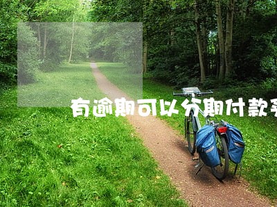 有逾期可以分期付款买房吗 有逾期可以分期付款买房吗