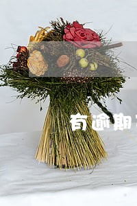 有逾期可以办手机分期吗 有逾期可以办手机分期吗