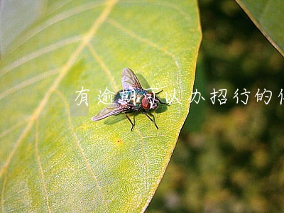 有逾期可以办招行的信用卡吗 有逾期可以办招行的信用卡吗