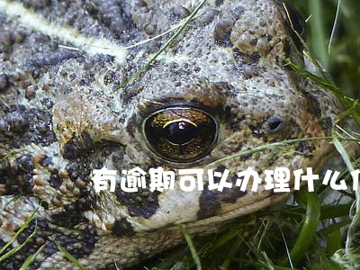 有逾期可以办理什么信用卡 有逾期可以办理什么信用卡