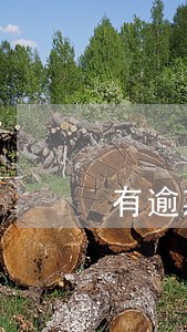 有逾期可以办理哪些网贷 有逾期可以办理哪些网贷