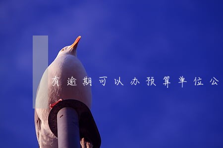 有逾期可以办预算单位公务卡