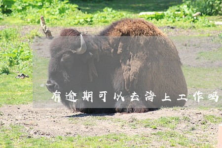有逾期可以去海上工作吗 有逾期可以去海上工作吗