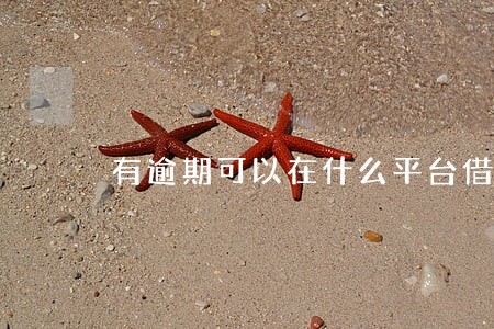 有逾期可以在什么平台借钱电话 有逾期可以在什么平台借钱电话