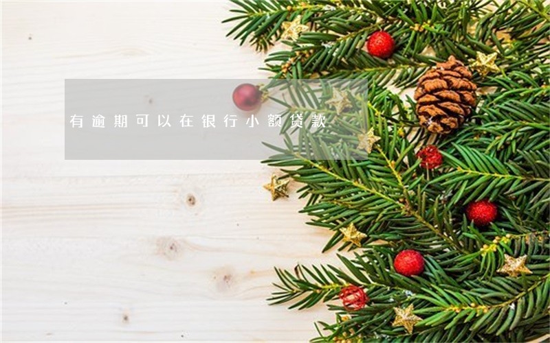 有逾期可以在银行小额贷款 有逾期可以在银行小额贷款
