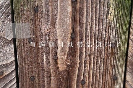 有逾期可以带信贷吗了 有逾期可以带信贷吗了