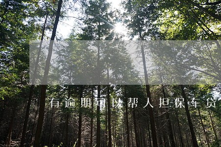 有逾期可以帮人担保车贷吗