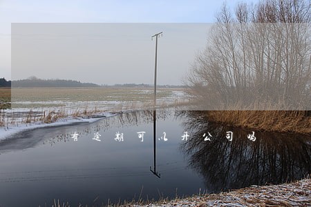 有逾期可以开公司吗 有逾期可以开公司吗