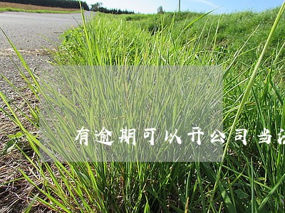 有逾期可以开公司当法人吗 有逾期可以开公司当法人吗