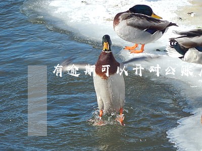 有逾期可以开对公账户吗 有逾期可以开对公账户吗