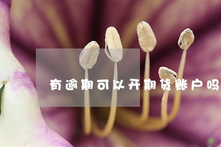 有逾期可以开期货账户吗 有逾期可以开期货账户吗
