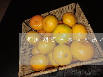 有逾期可以当公司法人吗 有逾期可以当公司法人吗