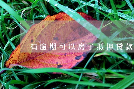 有逾期可以房子抵押贷款吗 有逾期可以房子抵押贷款吗