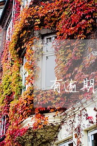 有逾期可以找人担保贷款吗 有逾期可以找人担保贷款吗