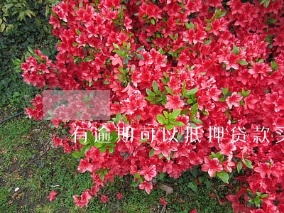 有逾期可以抵押贷款买房吗 有逾期可以抵押贷款买房吗