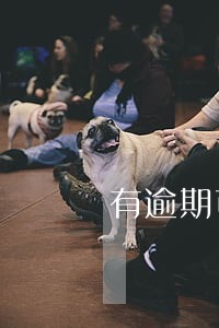 有逾期可以抵押贷款吗 有逾期可以抵押贷款吗
