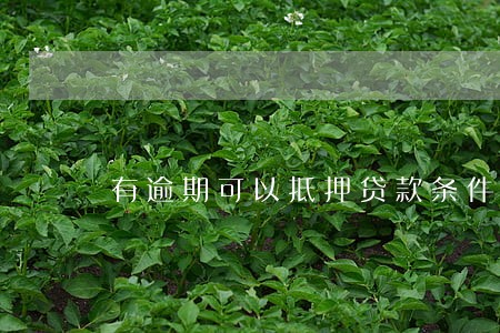 有逾期可以抵押贷款条件 有逾期可以抵押贷款条件