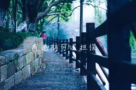 有逾期可以担保