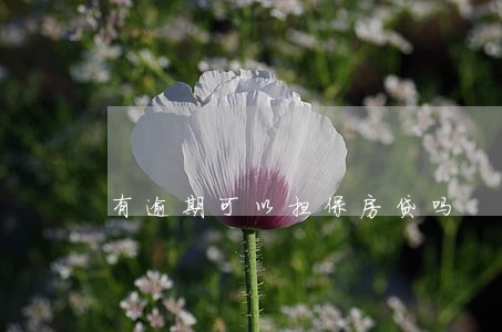 有逾期可以担保房贷吗 有逾期可以担保房贷吗
