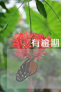 有逾期可以拿车抵押贷款吗 有逾期可以拿车抵押贷款吗