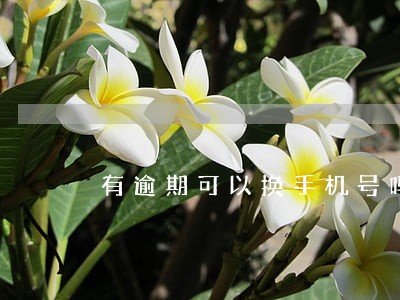 有逾期可以换手机号吗 有逾期可以换手机号吗