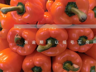 有逾期可以摇号买房吗 有逾期可以摇号买房吗