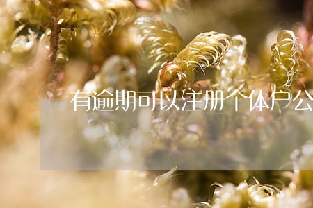 有逾期可以注册个体户公司吗 有逾期可以注册个体户公司吗
