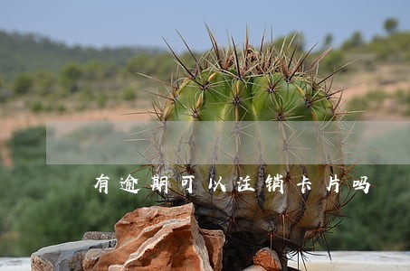 有逾期可以注销卡片吗 有逾期可以注销卡片吗