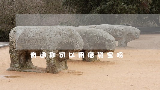有逾期可以用借贷宝吗