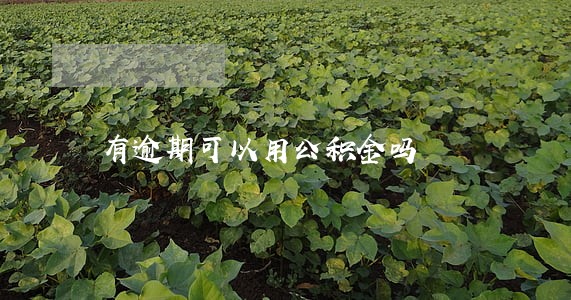 有逾期可以用公积金吗