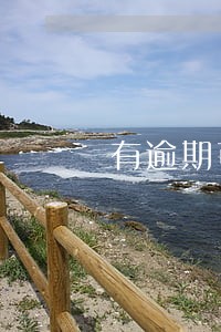 有逾期可以申请信用社贷款吗 有逾期可以申请信用社贷款吗