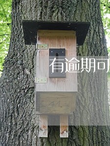 有逾期可以申请哪些网贷 有逾期可以申请哪些网贷