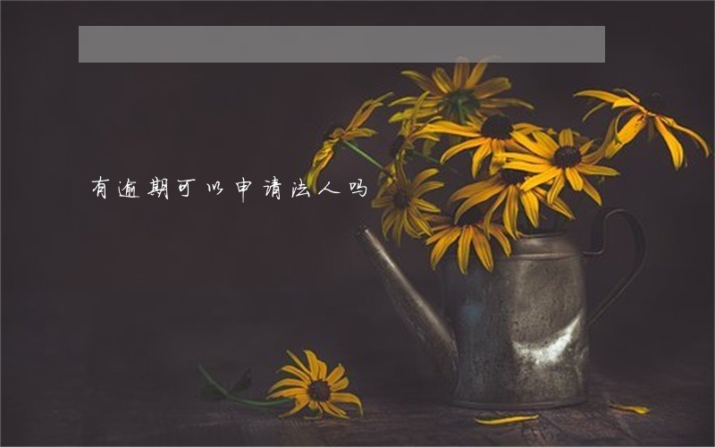 有逾期可以申请法人吗 有逾期可以申请法人吗