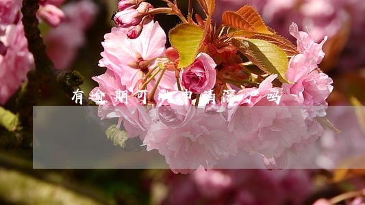 有逾期可以申请深户吗 有逾期可以申请深户吗
